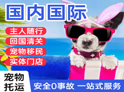 南通空运国际宠物托运 【国